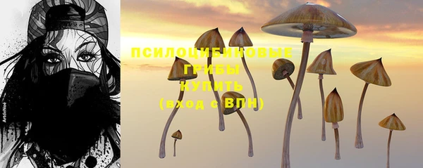 первитин Балахна