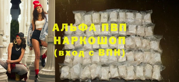 индика Вяземский