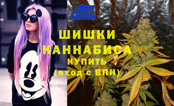 первитин Балахна
